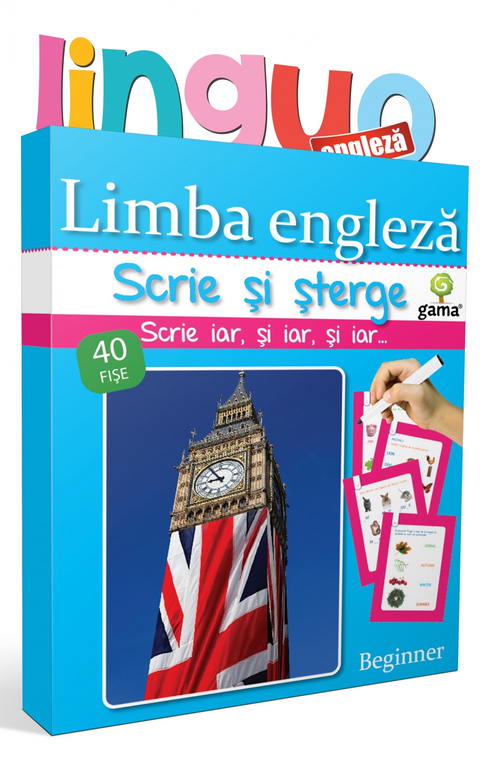 Limba engleză • Beginner