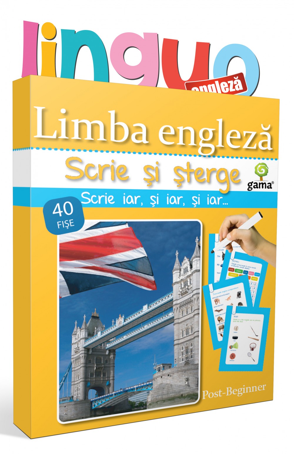 Limba engleză • Post-Beginner