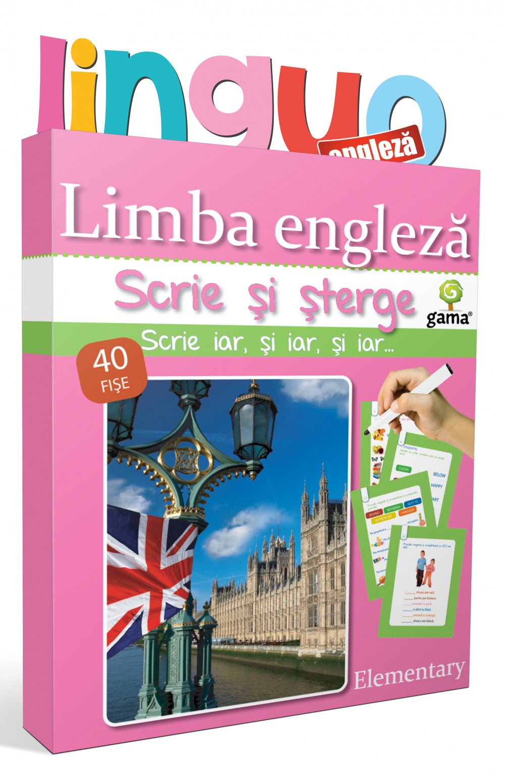 Limba engleză • Elementary