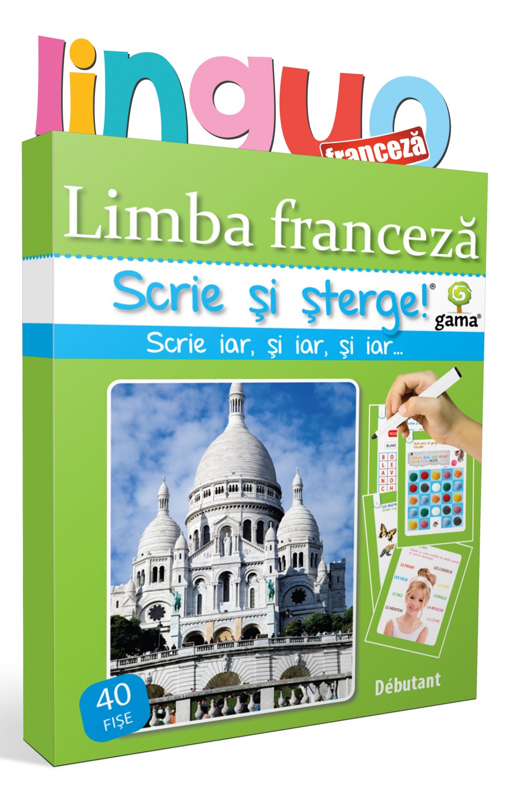 Limba franceză • Débutant