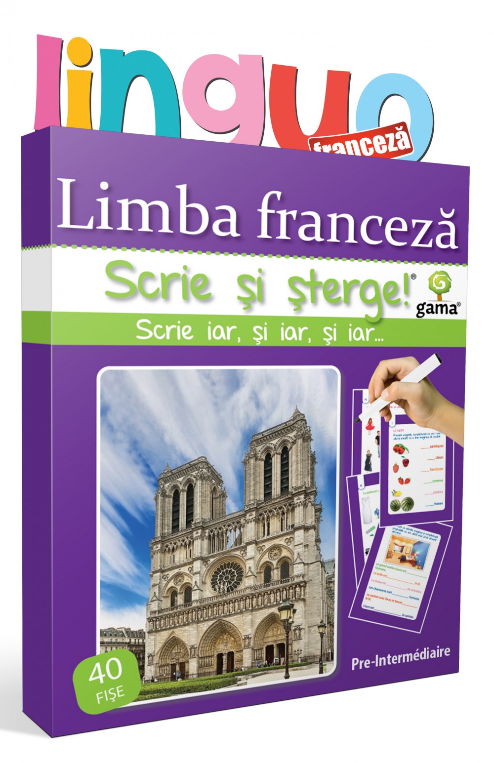 Limba franceză • Pre-Intermédiaire