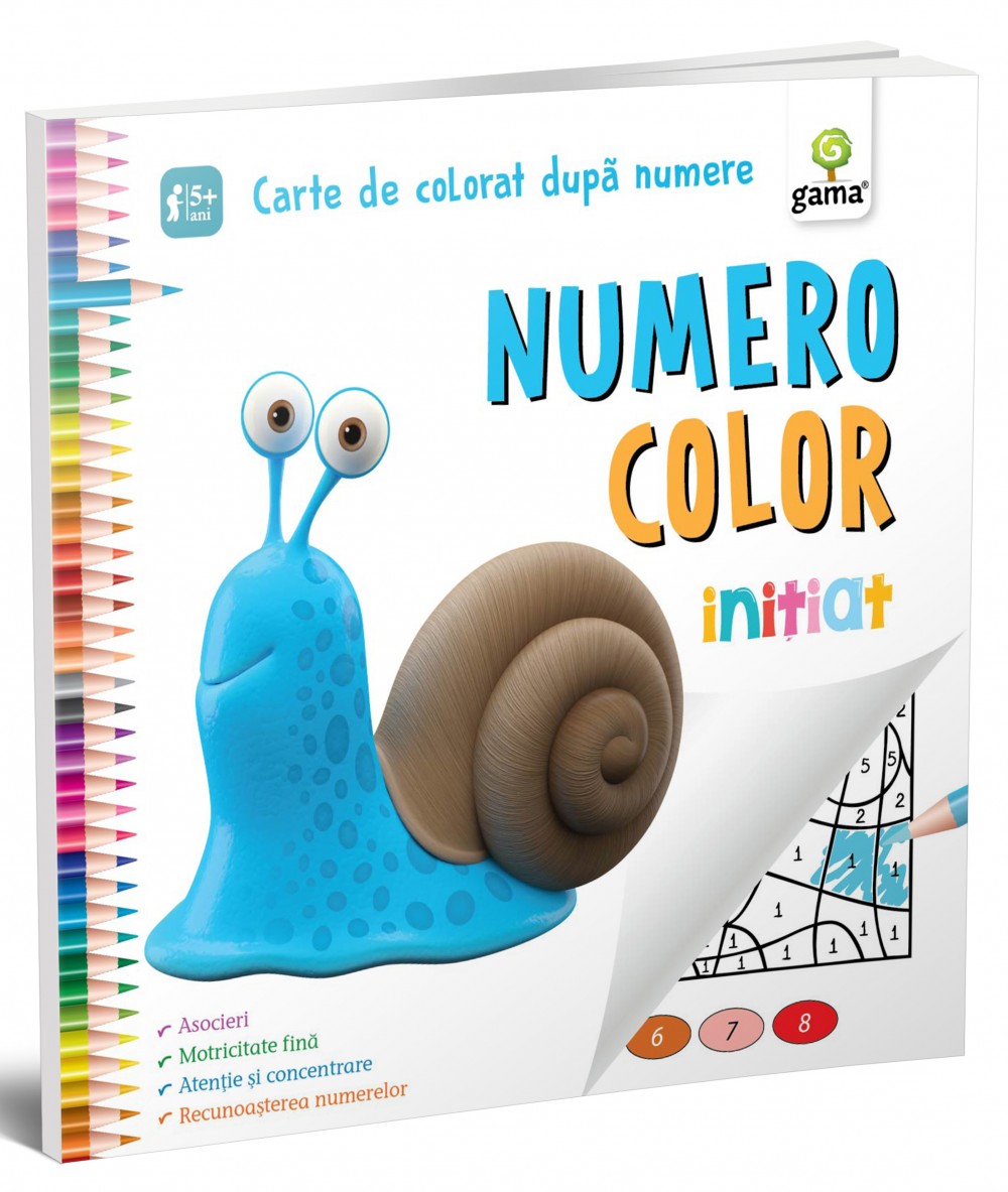 NumeroColor • Iniţiat