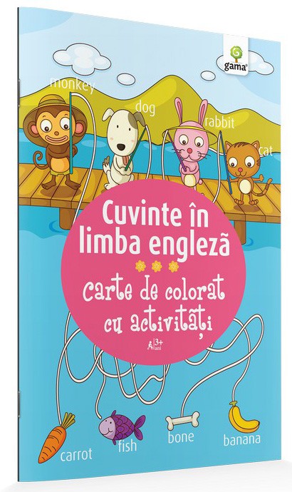 Cuvinte în limba engleză