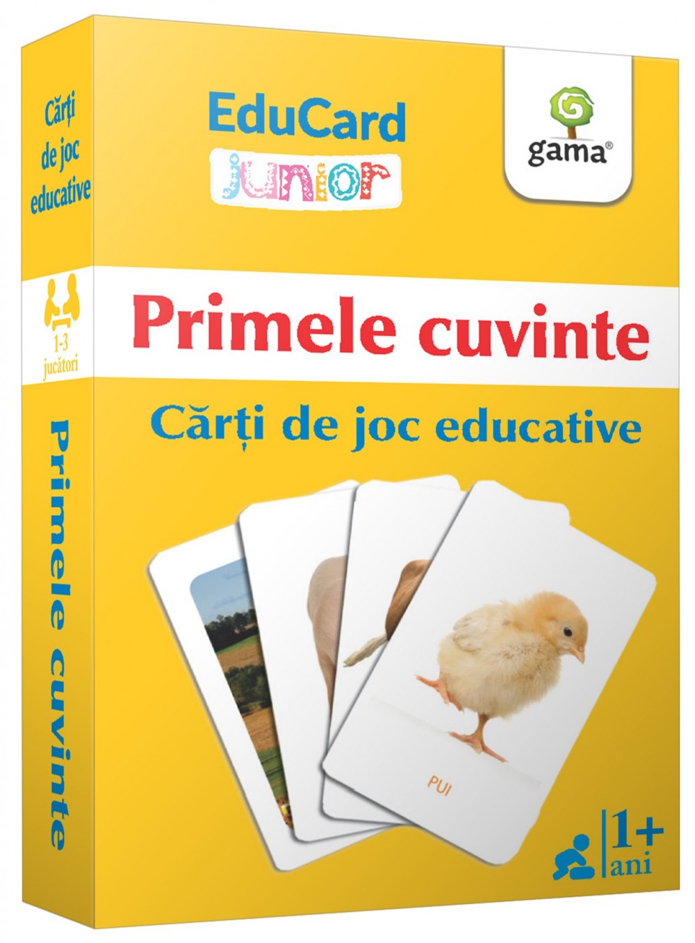 Primele cuvinte