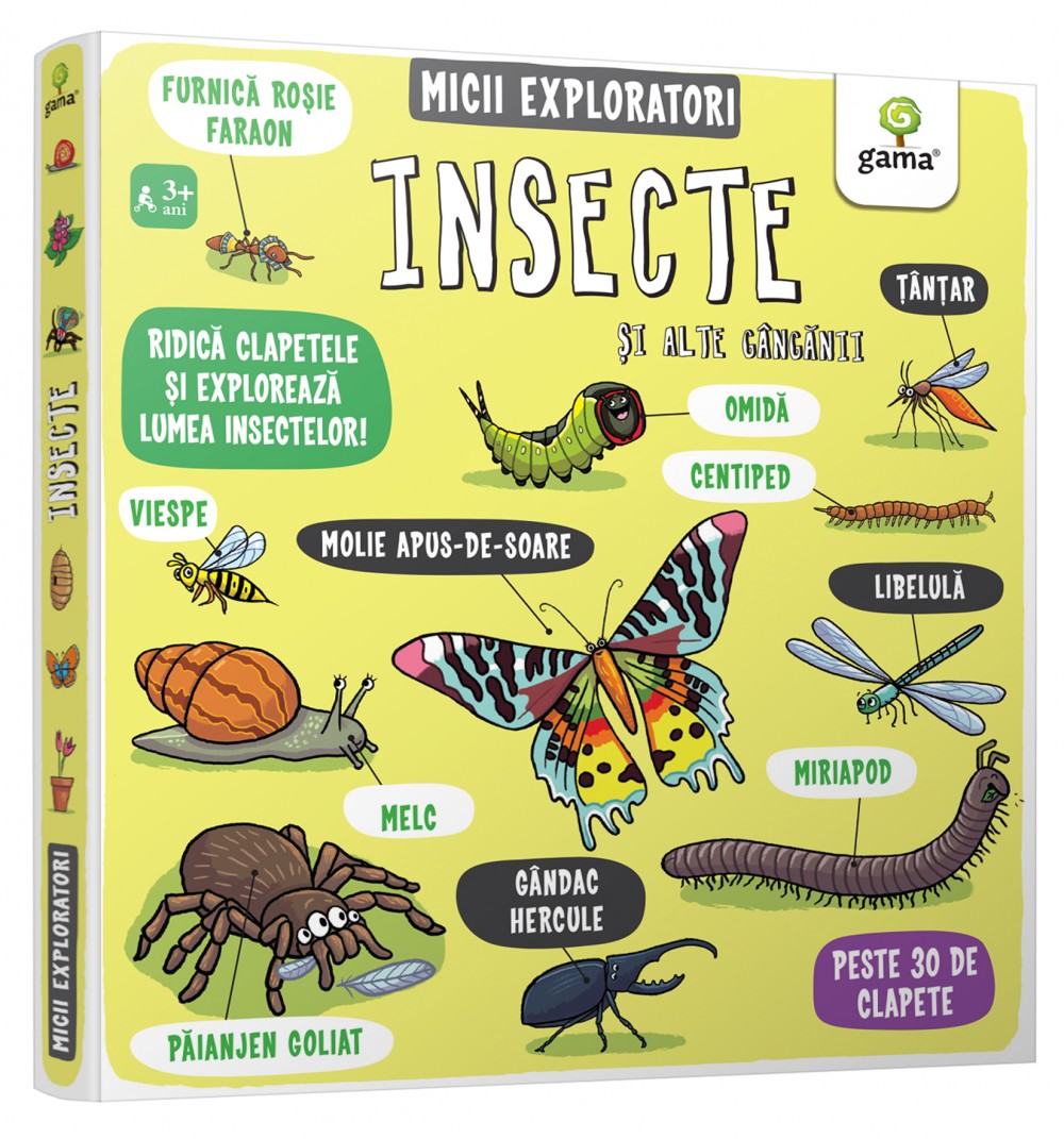 Insecte și alte gângănii
