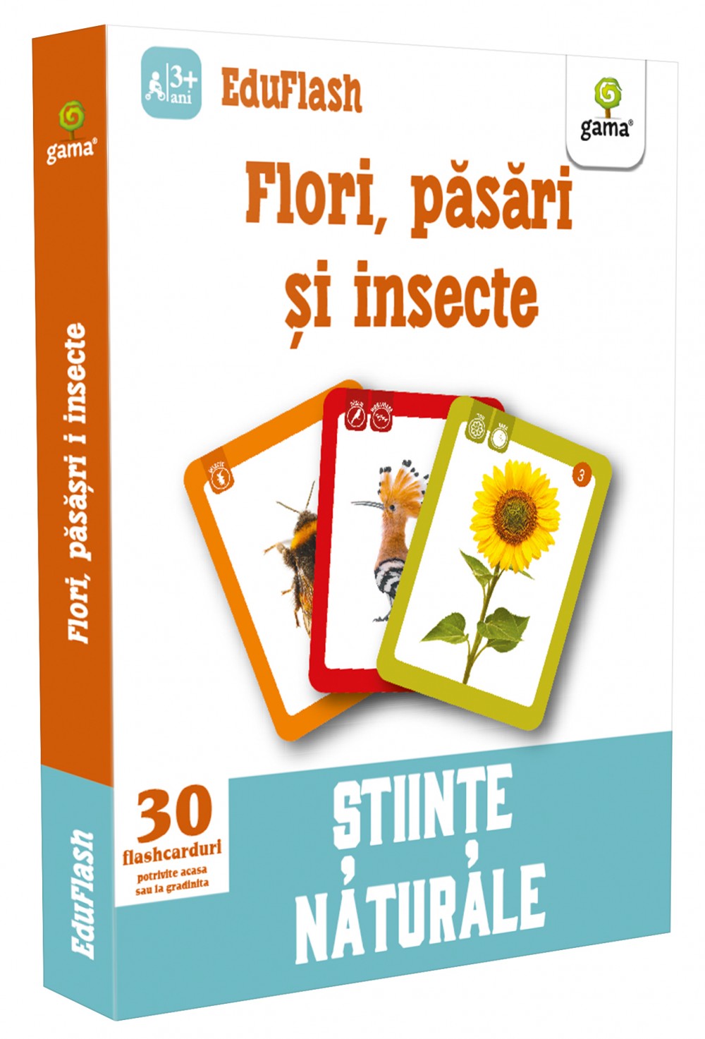 Flori, păsări și insecte