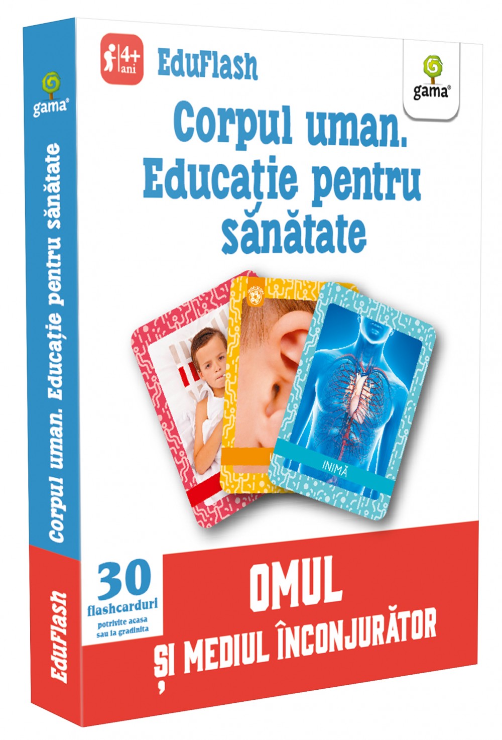 Corpul uman. Educație pentru sănătate