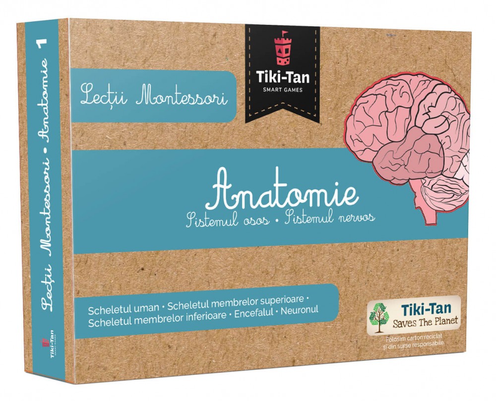 Lecții Montessori - Anatomie: Sistemul osos • Sistemul nervos
