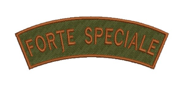 Patch-uri militare  / EMBLEME – FORTE SPECIALE