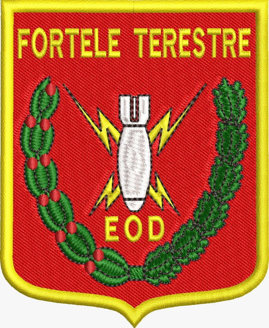 ECUSON / EMBLEMA - FORTELE TERESTRE EOD