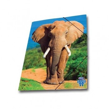 Mapa AR carton cu elastic Skag, 25 x 35 wild animals, elefant