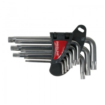 SET CHEI NEGATIVE CR-VA TORX T10-T509P.