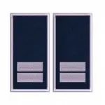 GRADE AGENT PRINCIPAL POLITIE