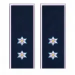 GRADE COMISAR POLITIE IGPR