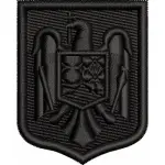 EMBLEMA COIFURA AVIATIE ( CUC AVIATIE ) NEGRU