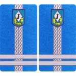 GRADE LOCOTENENT COLONEL JANDARMI