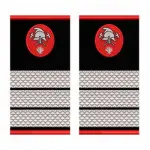GRADE PLUTONIER ADJUTANT POMPIERI