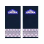 GRADE SERGENT MAJOR SRI