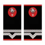 GRADE MAISTRU MILITAR CLASA 4 POMPIERI