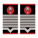 GRADE MAISTRU MILITAR PRINCIPAL POMPIERI
